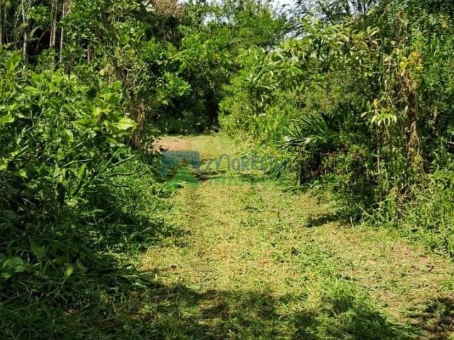 Terreno venda em Barreiros, Morretes