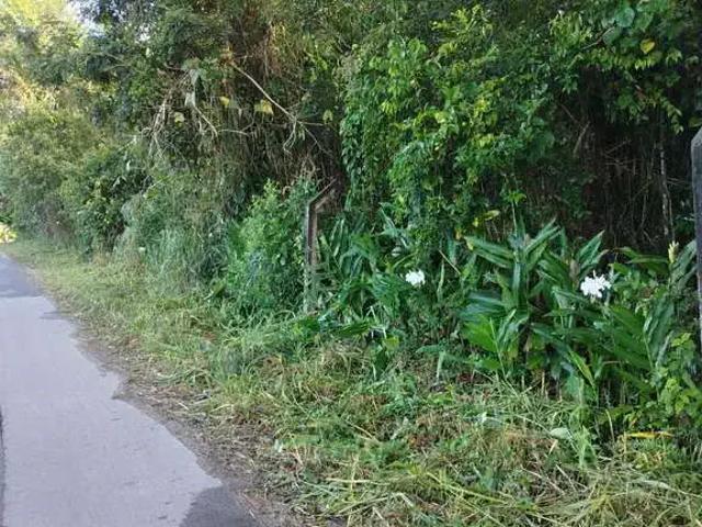 Terreno venda em Região Geográfica Imediata de Paranaguá, Morretes
