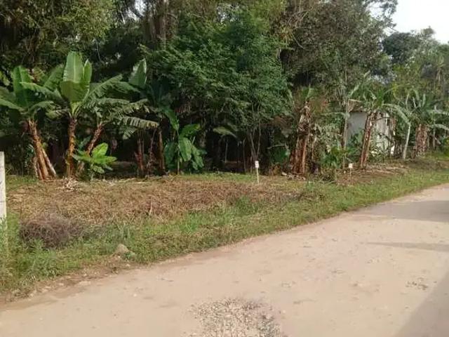 Terreno venda em Região Geográfica Imediata de Paranaguá, Morretes