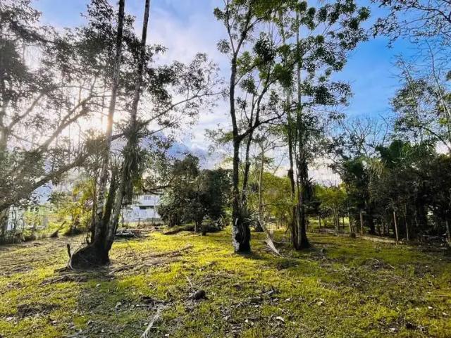 Terreno venda em Região Geográfica Imediata de Paranaguá, Morretes