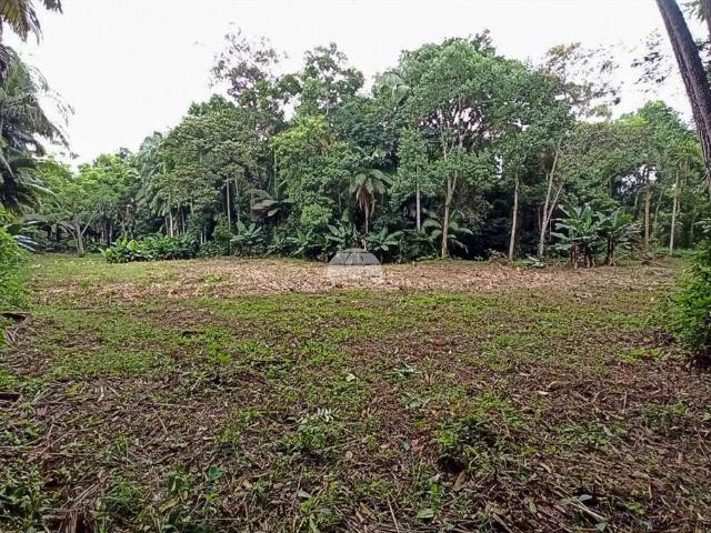 Terreno venda em Rocio, Morretes