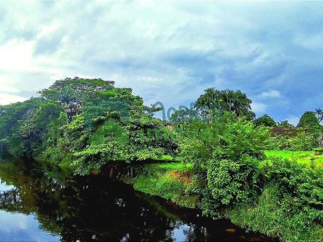 Terreno venda em Rocio, Morretes