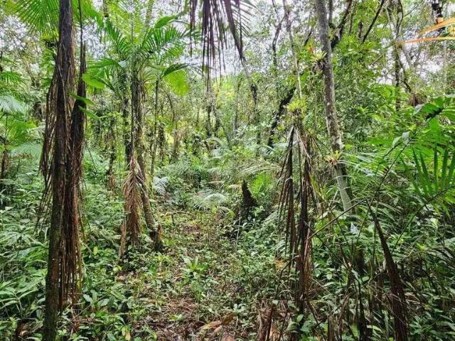 Terreno venda em Região Geográfica Imediata de Paranaguá, Morretes