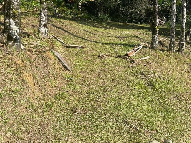 Terreno venda em Barro Branco, Morretes