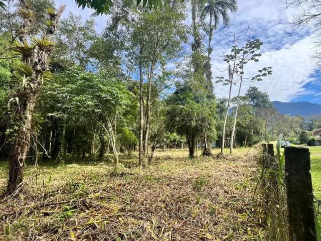 Terreno venda em Rocio, Morretes