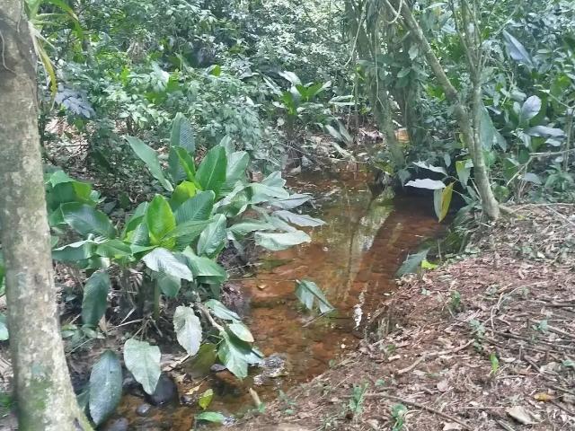 Terreno venda em Região Geográfica Imediata de Paranaguá, Morretes
