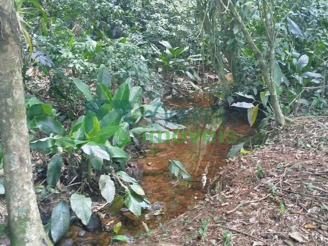 Terreno venda em Rocio, Morretes