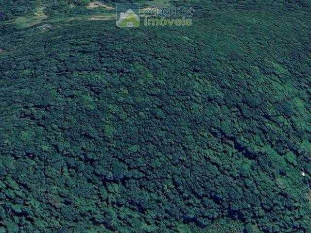 Terreno venda em Região Geográfica Imediata de Santa Maria, Nova Palma