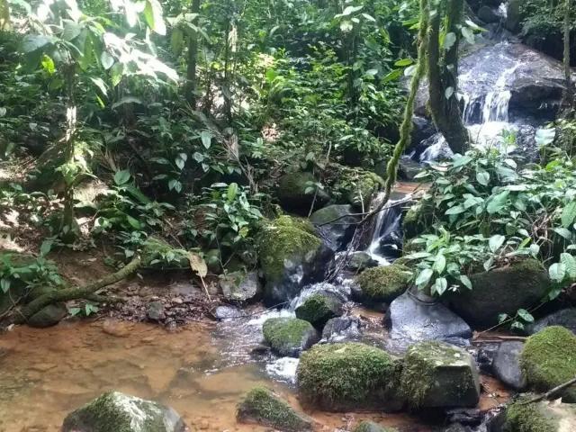 Terreno venda em Região Geográfica Imediata de Paranaguá, Morretes