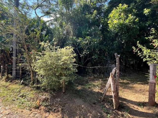 Terreno venda em Bom Jardim, Morretes