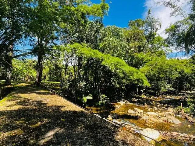 Terreno venda em Região Geográfica Imediata de Paranaguá, Morretes
