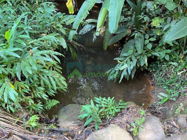 Terreno venda em Bom Jardim, Morretes