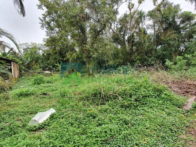 Terreno venda em Rocio, Morretes