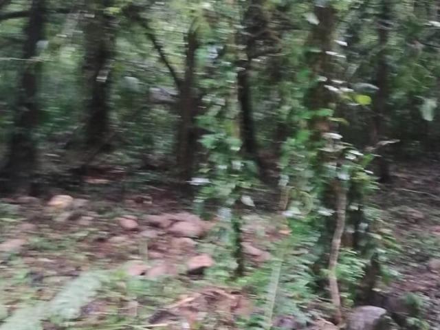 Terreno venda em Morretes, Região Geográfica Intermediária de Curitiba