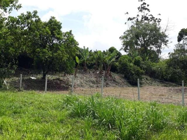 Terreno venda em Rocio, Morretes