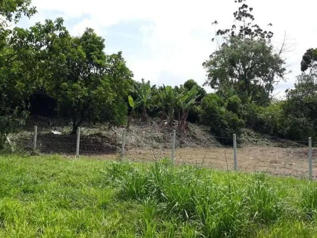 Terreno venda em Região Geográfica Imediata de Paranaguá, Morretes