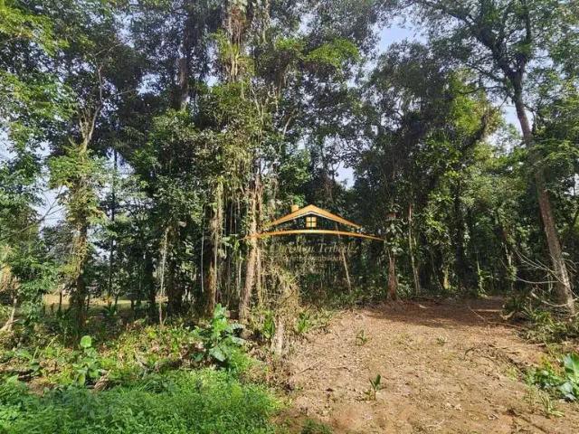 Terreno venda em Morretes, Região Geográfica Intermediária de Curitiba