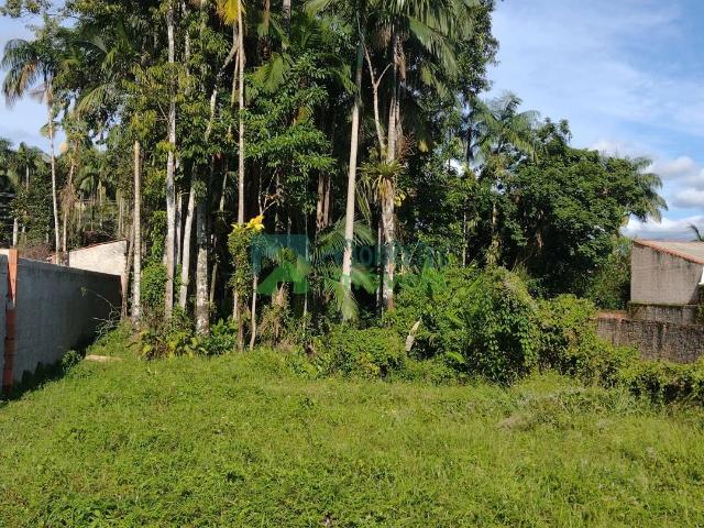 Terreno venda em Vila Santo Antônio, Morretes