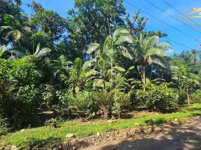 Terreno venda em Ponte Alta, Morretes