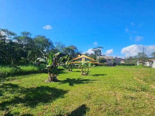 Terreno venda em Vila das Palmeiras, Morretes