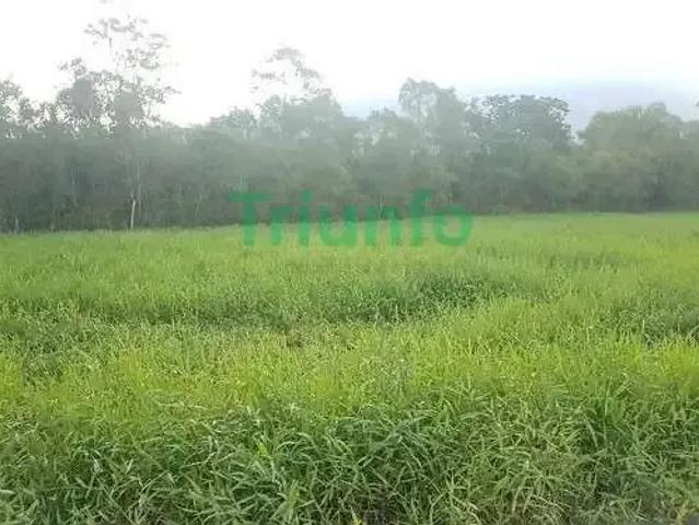 Terreno venda em Região Geográfica Imediata de Paranaguá, Morretes