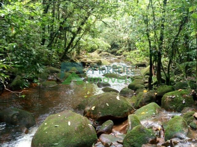 Terreno venda em Rocio, Morretes