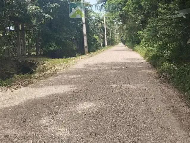 Terreno venda em Região Geográfica Imediata de Paranaguá, Morretes