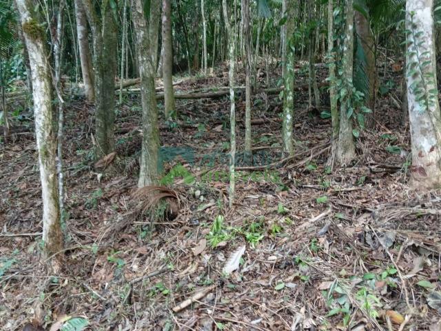 Terreno venda em Rocio, Morretes