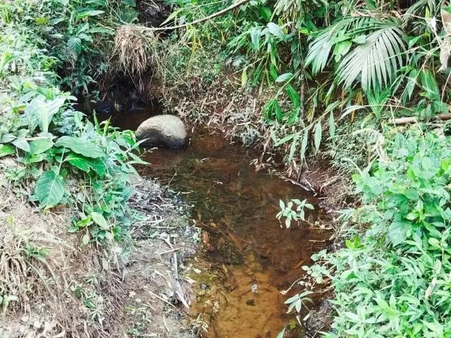Terreno venda em Região Geográfica Imediata de Paranaguá, Morretes