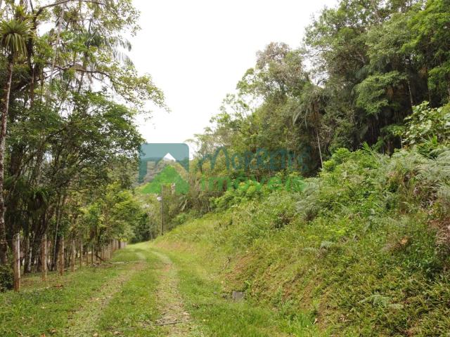 Terreno venda em Morretes, Região Geográfica Intermediária de Curitiba
