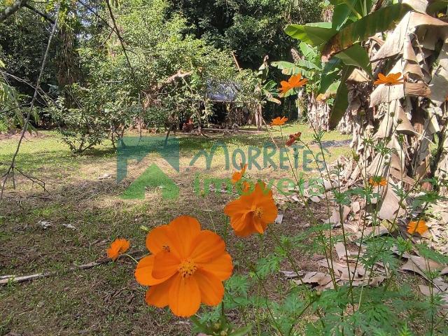 Terreno venda em Rocio, Morretes