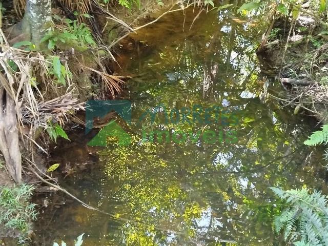 Terreno venda em Morretes, Região Geográfica Intermediária de Curitiba