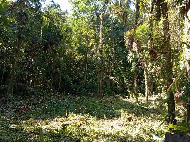 Terreno venda em Região Geográfica Imediata de Paranaguá, Morretes