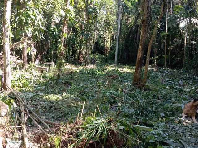 Terreno venda em Rocio, Morretes