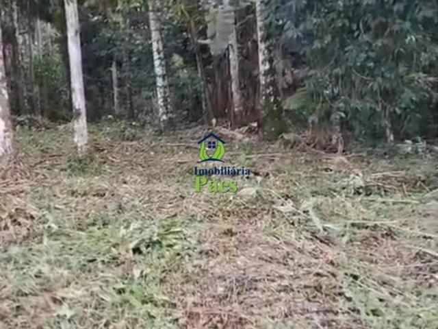 Terreno venda em Rocio, Morretes