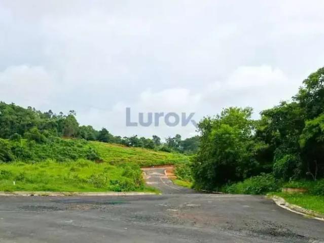 Terreno venda em Morungaba