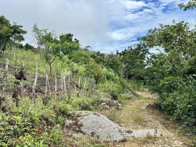Terreno venda em Mulungu, Região Geográfica Intermediária de Fortaleza