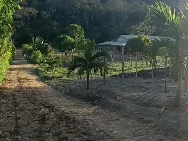 Terreno venda em Região Geográfica Imediata de Redenção-Acarape, Mulungu