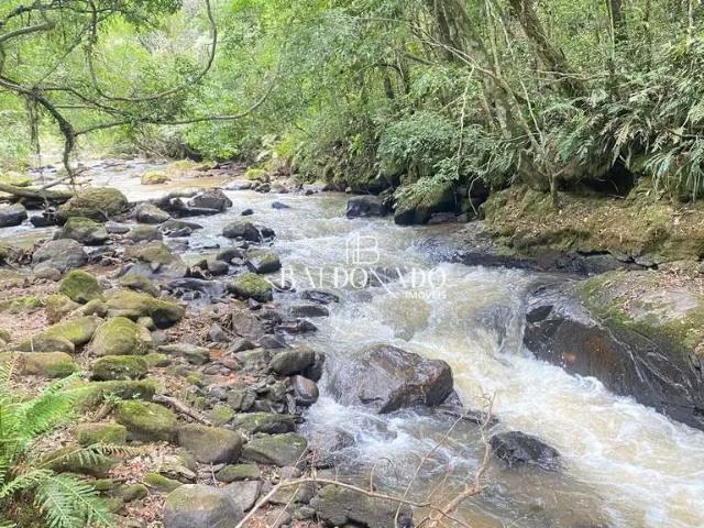 Terreno venda em Munhoz, Região Geográfica Intermediária de Pouso Alegre