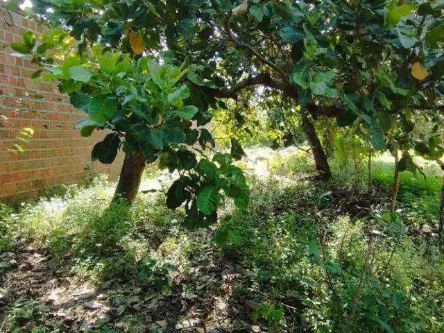 Terreno venda em Região Geográfica Imediata de Natal, Natal