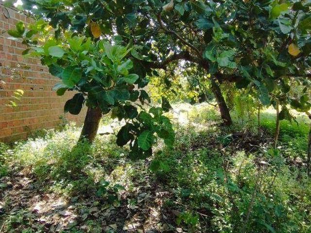 Terreno venda em Região Geográfica Imediata de Natal, Natal