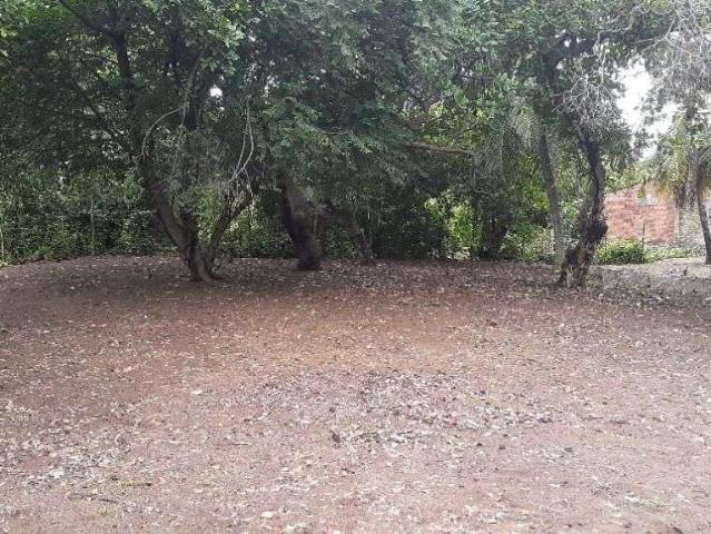Terreno venda em Loteamento Caiana, Natal