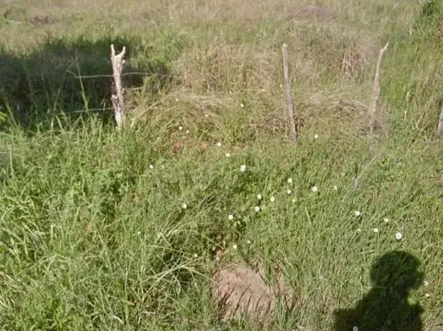 Terreno venda em Região Geográfica Imediata de Natal, Natal