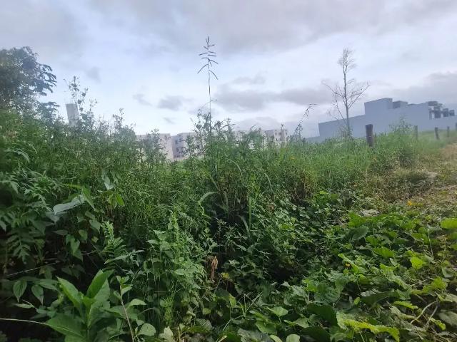 Terreno venda em Região Geográfica Imediata de Itajaí, Navegantes