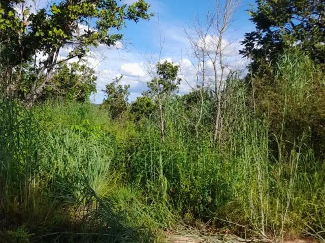 Terreno venda em Região Geográfica Imediata de Uruaçu - Niquelândia, Niquelândia