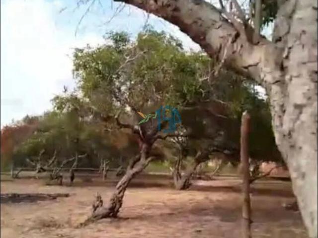 Terreno venda em Centro, Nísia Floresta