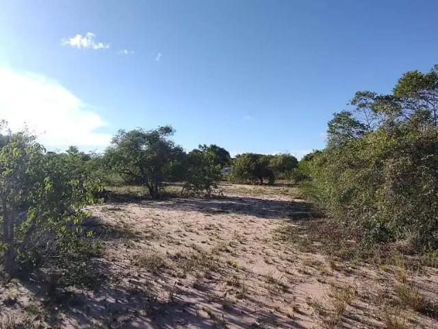 Terreno venda em Nísia Floresta