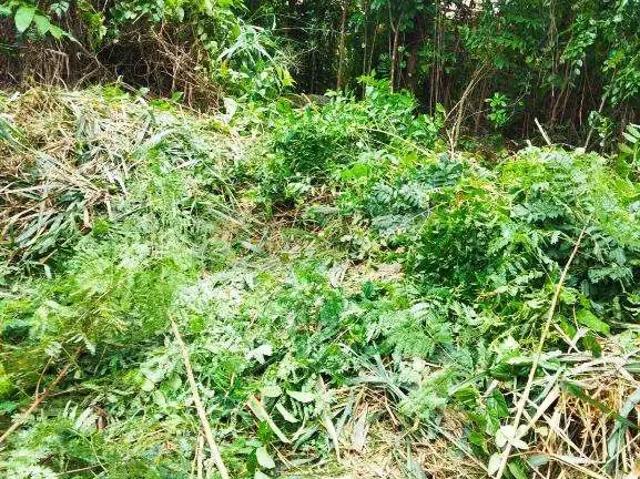 Terreno venda em Região Pendotiba, Niterói