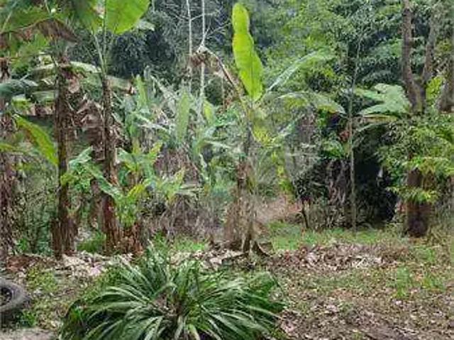 Terreno venda em Região Geográfica Imediata do Rio de Janeiro, Região Metropolitana do Rio de Janeiro