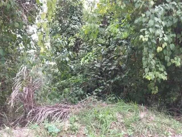 Terreno venda em Região Geográfica Imediata do Rio de Janeiro, Região Metropolitana do Rio de Janeiro
